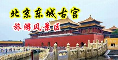 艹爆白虎逼中国北京-东城古宫旅游风景区